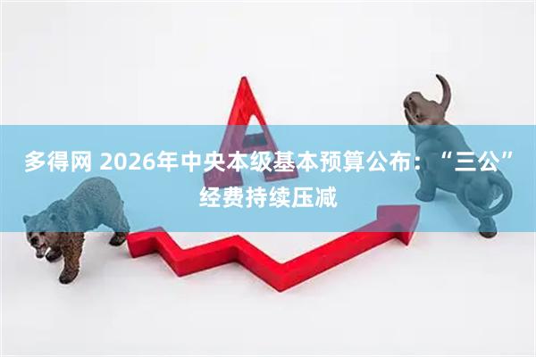 多得网 2026年中央本级基本预算公布：“三公”经费持续压减