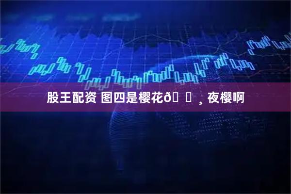 股王配资 图四是樱花🌸 夜樱啊