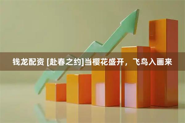 钱龙配资 [赴春之约]当樱花盛开，飞鸟入画来