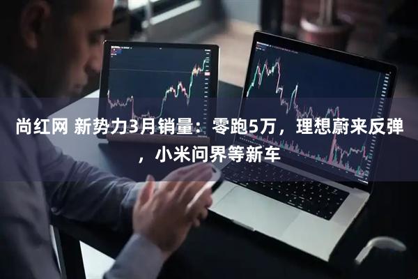 尚红网 新势力3月销量：零跑5万，理想蔚来反弹，小米问界等新车